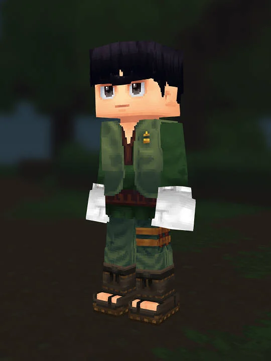 Rock Lee Hytale preset preview